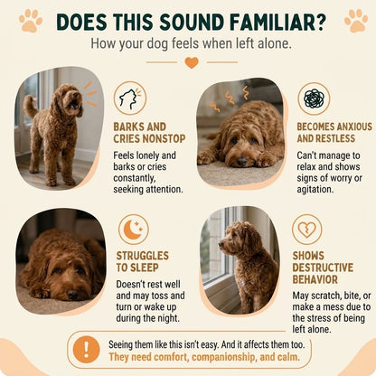 Sloth Heartbeat Plush — for Anxious & Lonely Pets