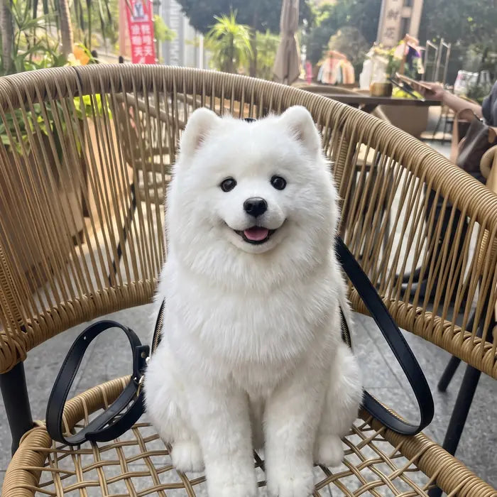 PawPack™ Dog bag